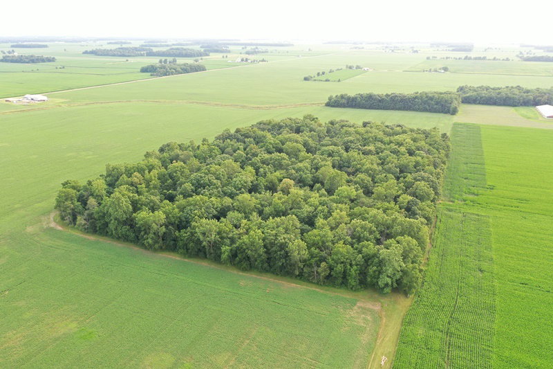 DJI 0679