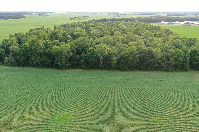DJI 0686