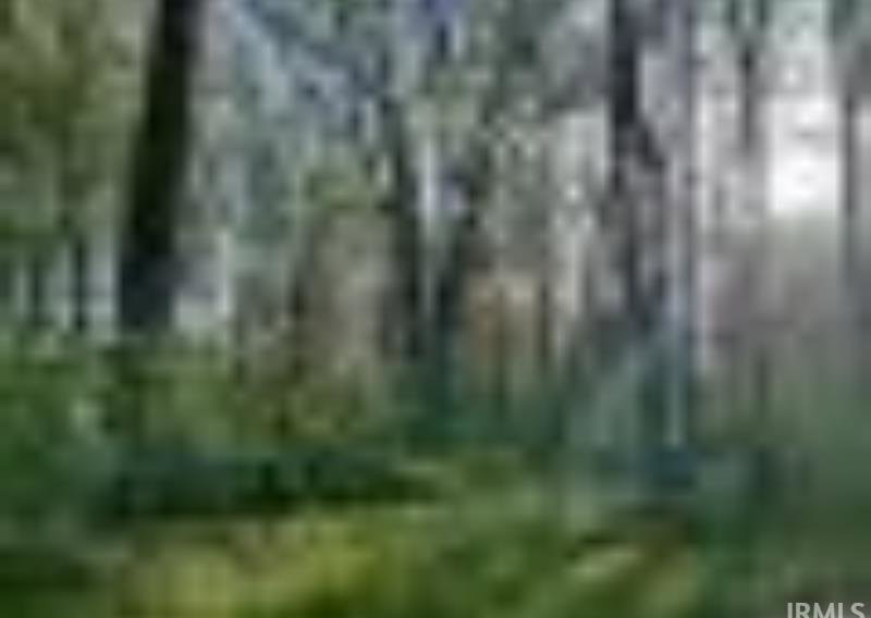 Remote image