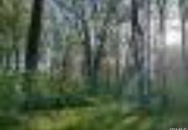Remote image