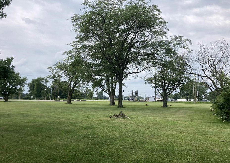 Remote image