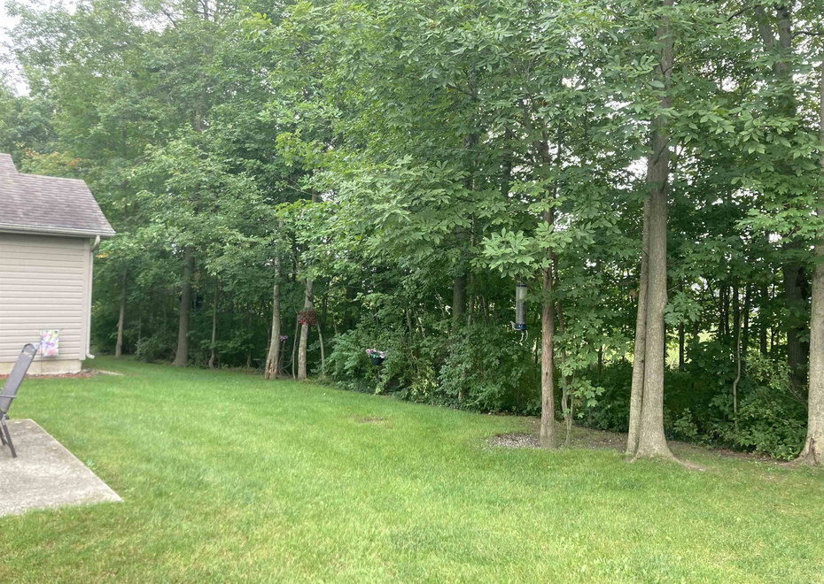 Remote image