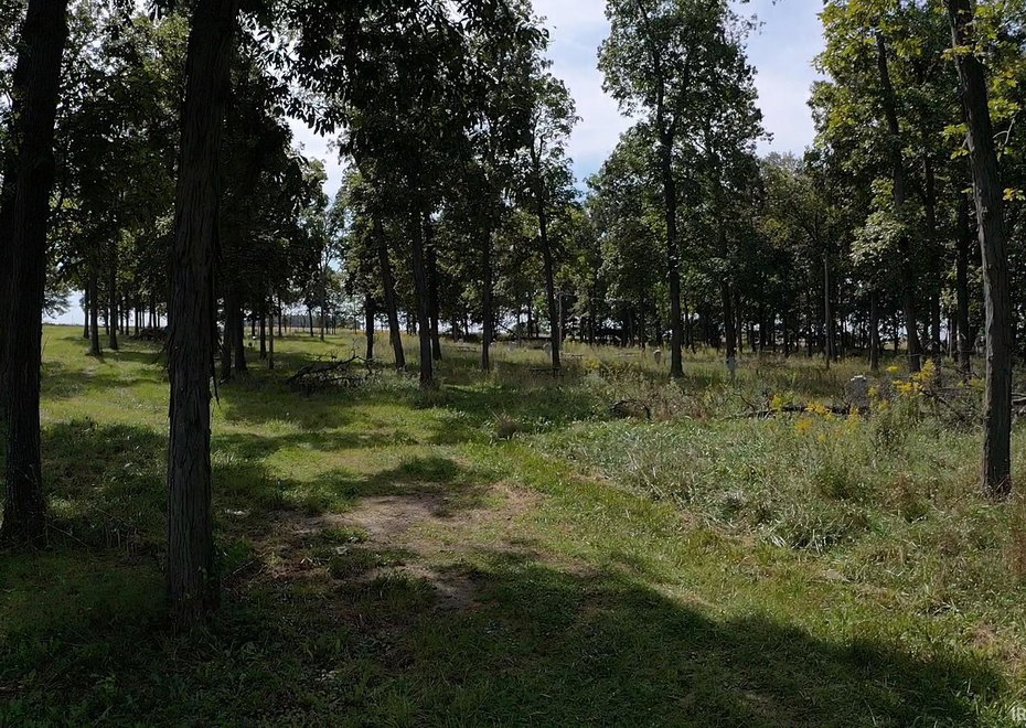 Remote image
