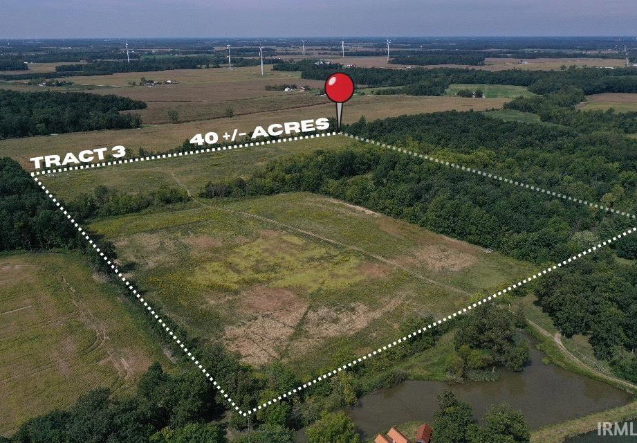 Remote image
