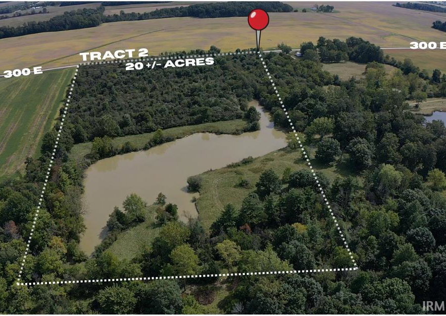Remote image