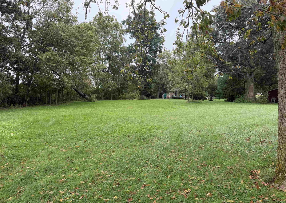 Remote image