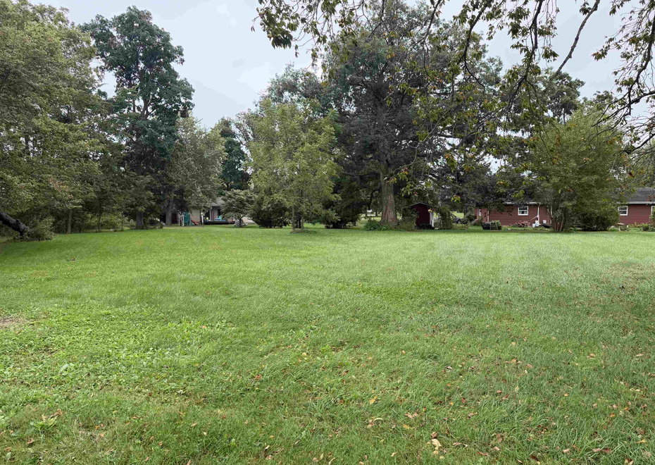 Remote image