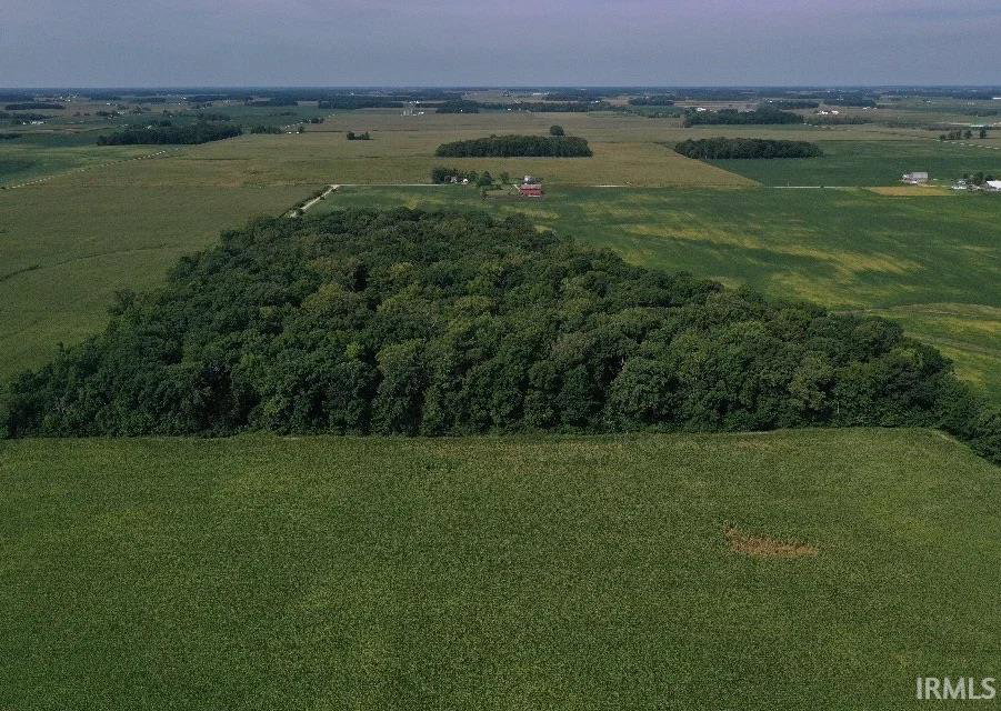 Remote image