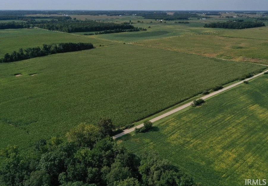 Remote image