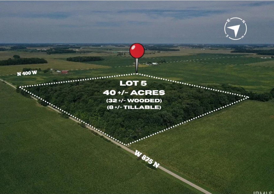 Remote image