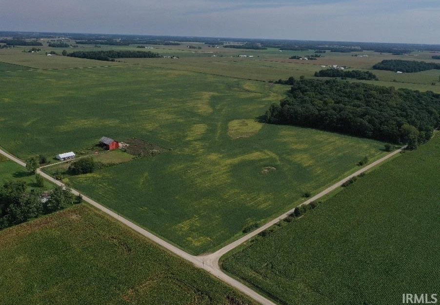 Remote image
