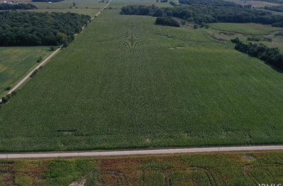 Remote image