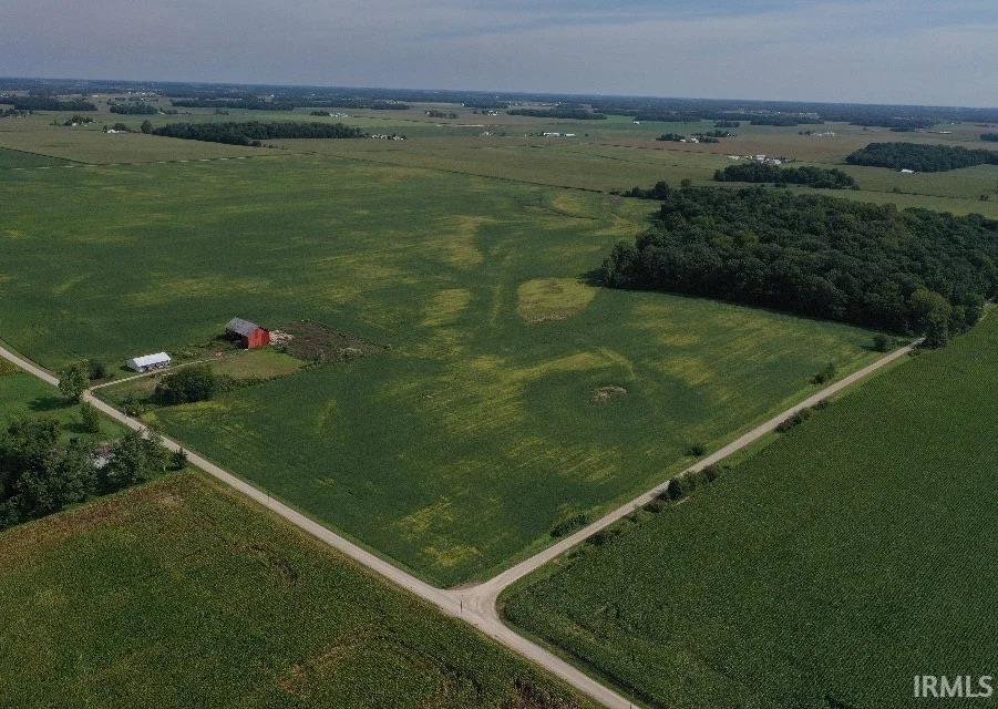 Remote image