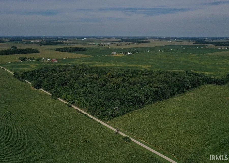Remote image