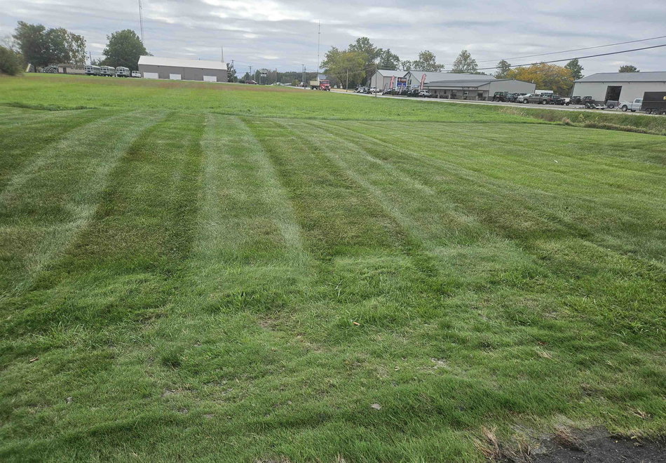 Remote image
