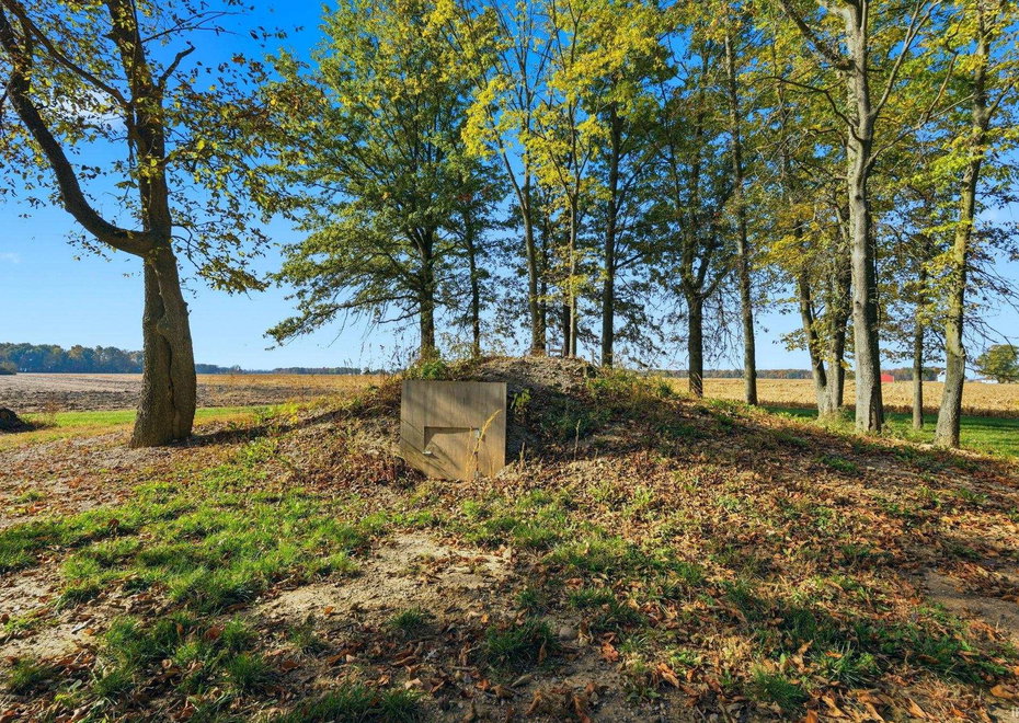 Remote image